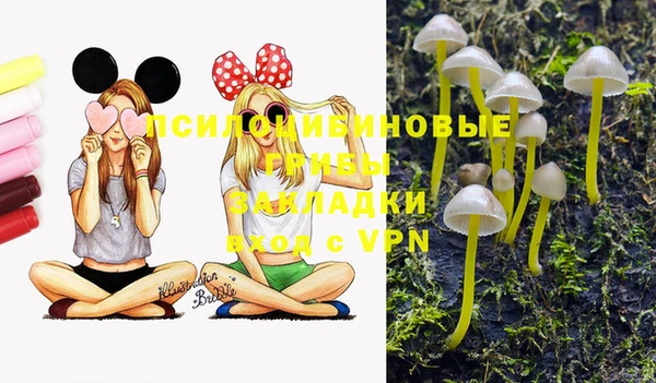прущие крисы Алзамай