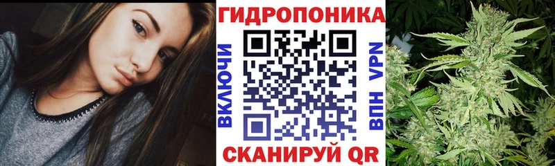 Конопля THC 21%  darknet телеграм  Шенкурск 